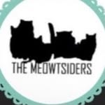 The Meowtsiders