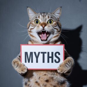 Cat myths blog