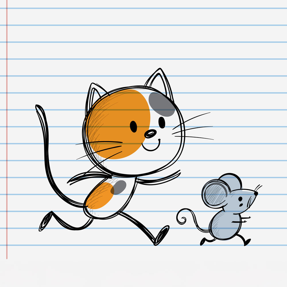 cat vs rat blog