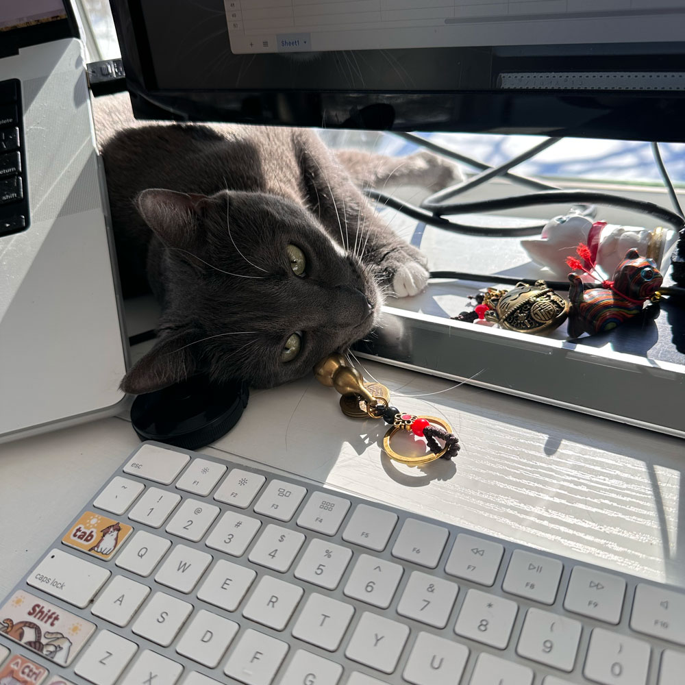TK-blog-why-cat-following-everywhere