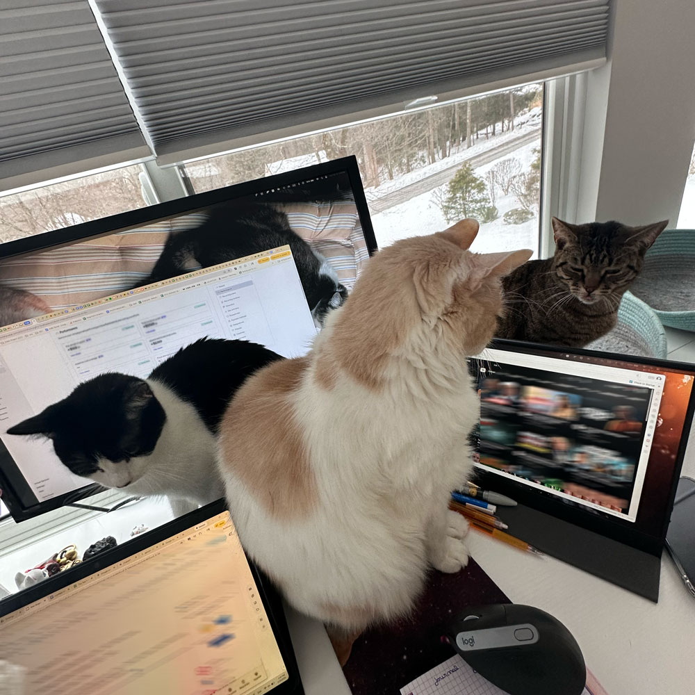 TK-blog-why-cat-following-everywhere-5